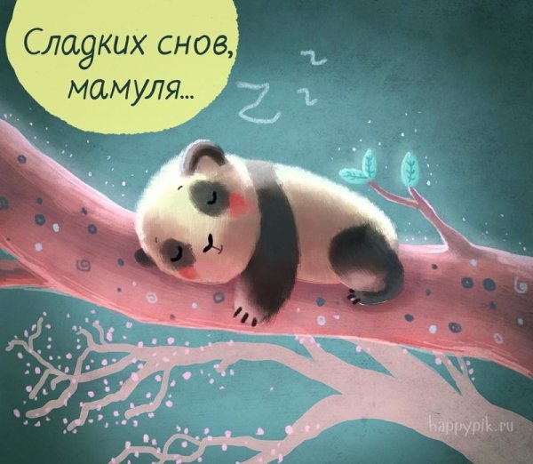 Спокойной ночи Тимочка