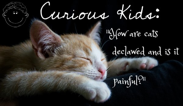 Семочка спокойной ночи