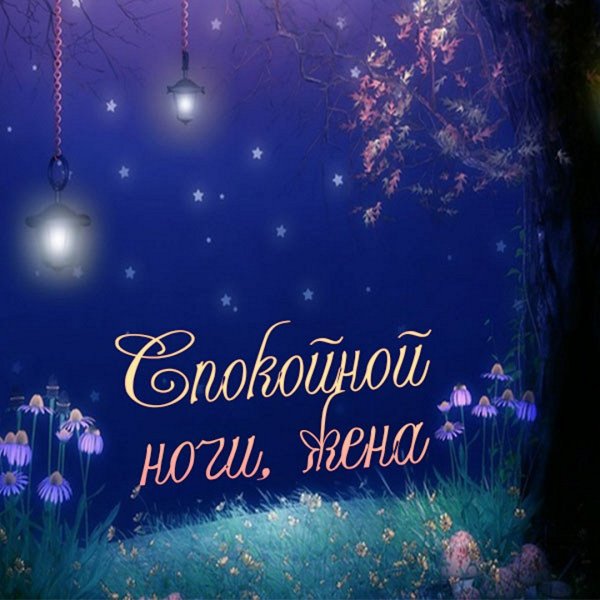 Спокойной ночи, Зайчонок