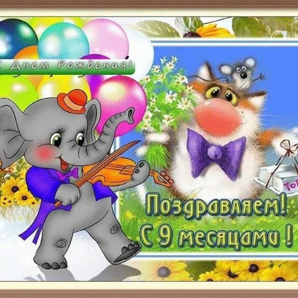Поздравляю с 9 месяцами мальчика