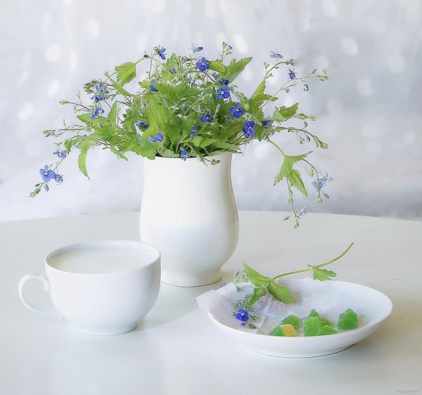 С добрым утром Весна