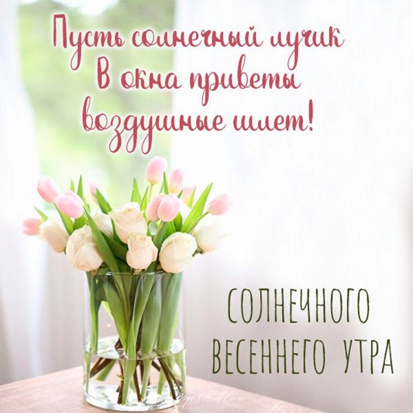 Открытки с добрым утром Су