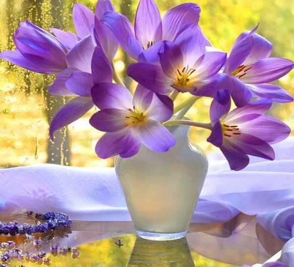 Чудесного весеннего утра и прекрасного настроения