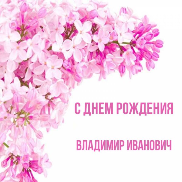 С днём рождения Владимир Иванович