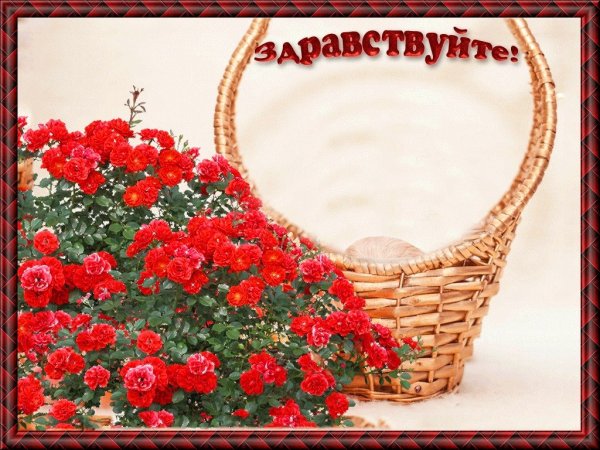 Открытки Здравствуйте