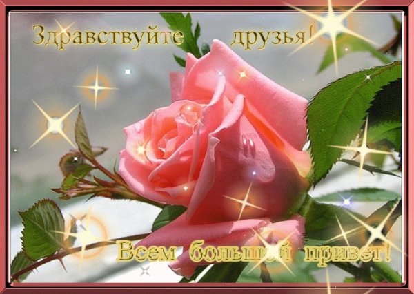 Открытки привет прикольные