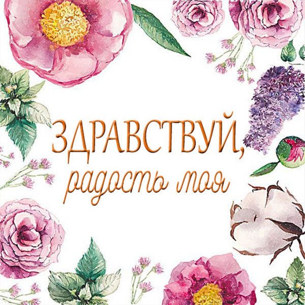 И снова Здравствуйте