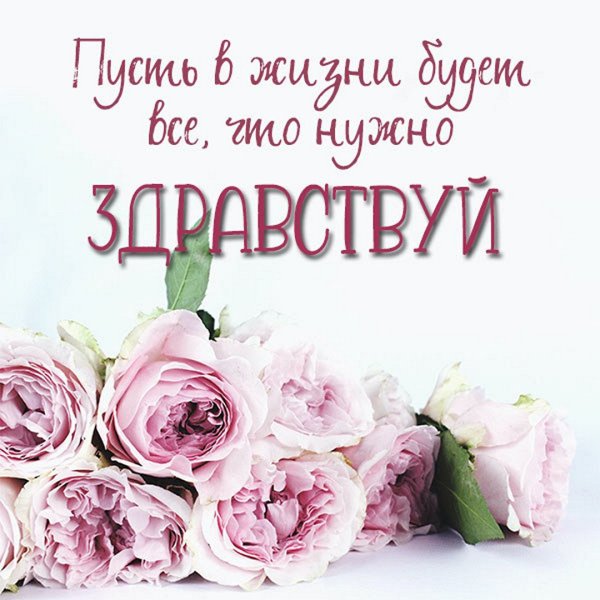 Открытки приветик