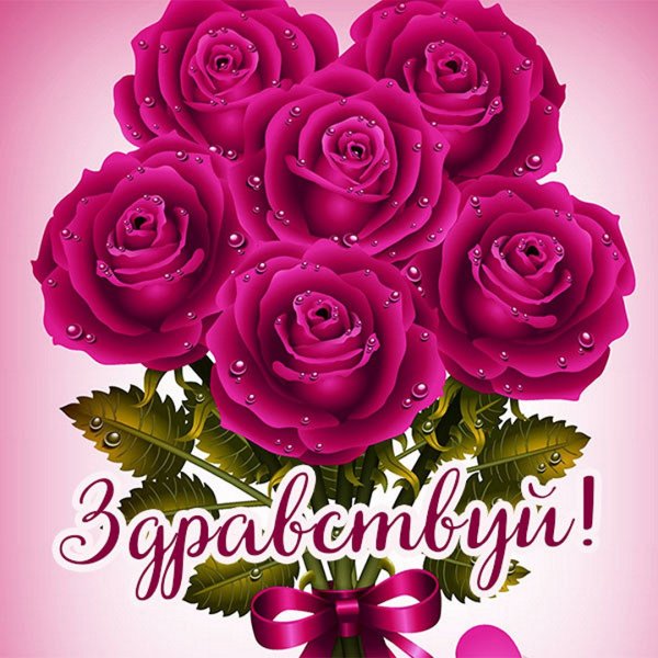 Стикеры красивые и живые