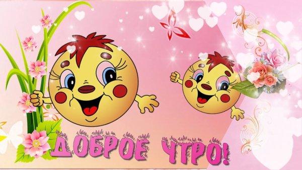 Здравствуй любимая