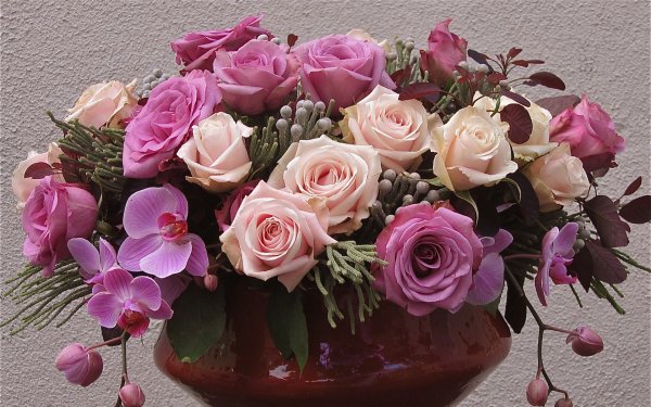 Шикарные цветы