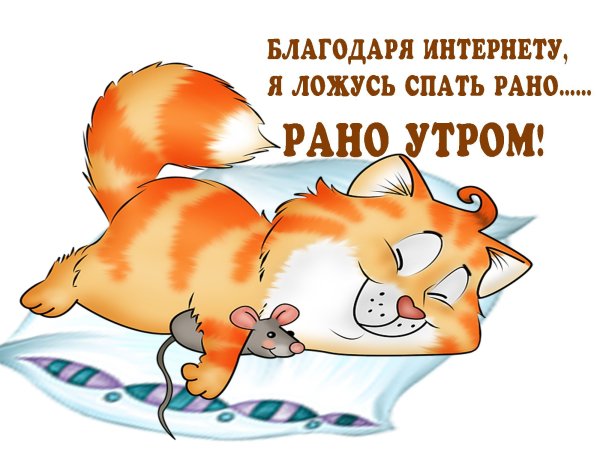 Спокойной ночи картинки прикольные