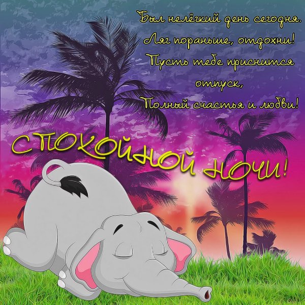 Смешные пожелания спокойной ночи