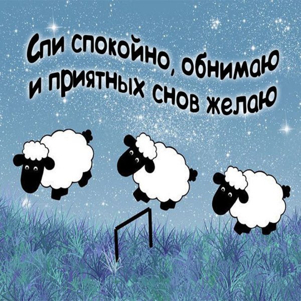 Смешные пожелания спокойной ночи