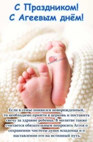 29 Декабря день пушистой елки