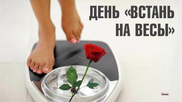 День еще столько всего надо сделать 29 декабря