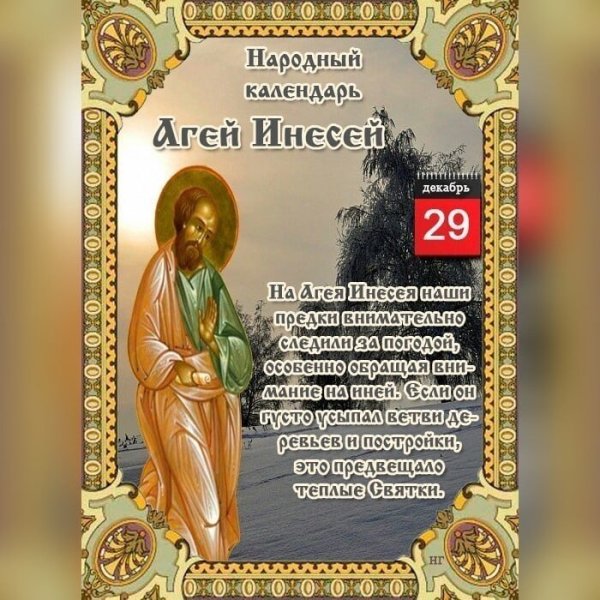 29 Декабря день пушистой елки