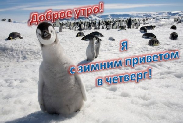 Открытки с добрым утром четверга зимние