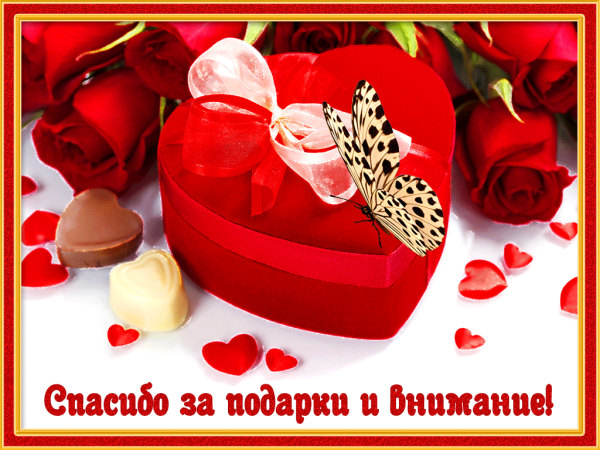 Спасибо за подарки и внимание