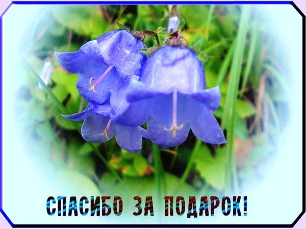 Спасибо открытки красивые