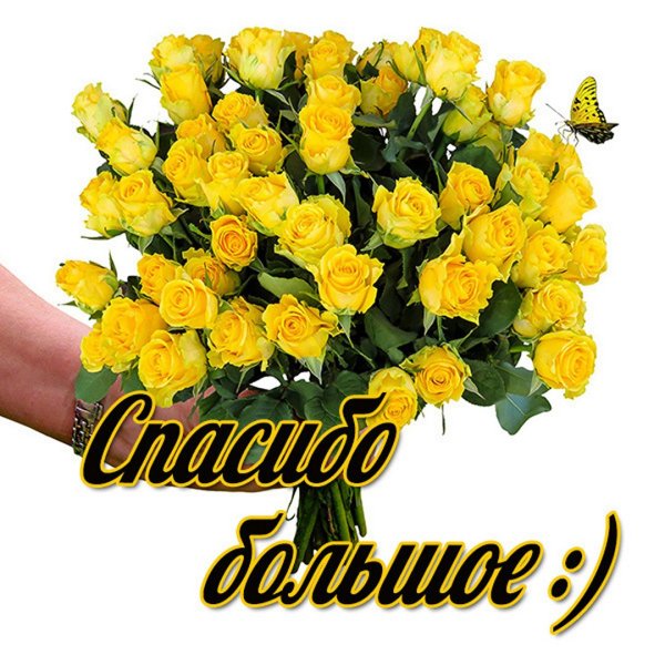 Спасибо за подарок анимация