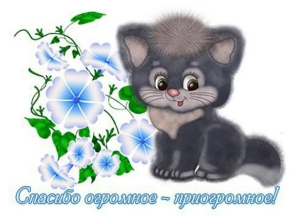 Спасибо за радость