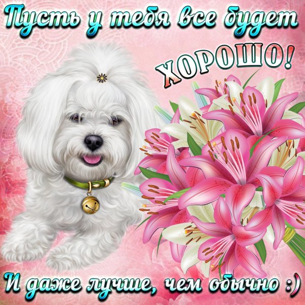 Открытки на все случаи