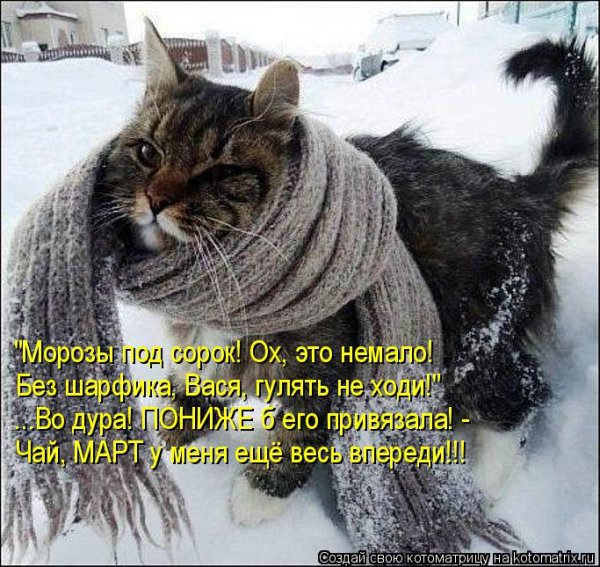 Смешные статусы про Мороз