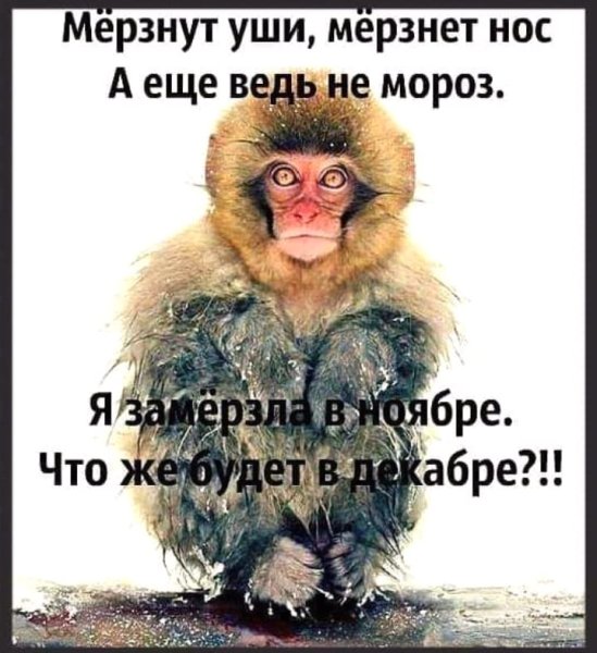 Холод работа юмор