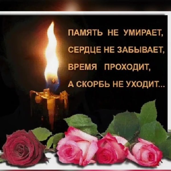 Помним любим скорбим стихи