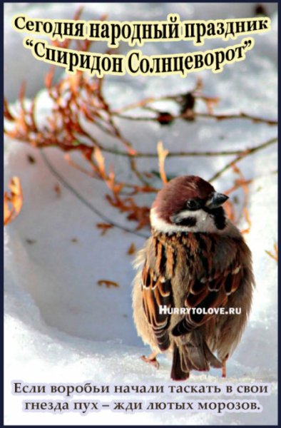 Народный праздник Прокопьев день