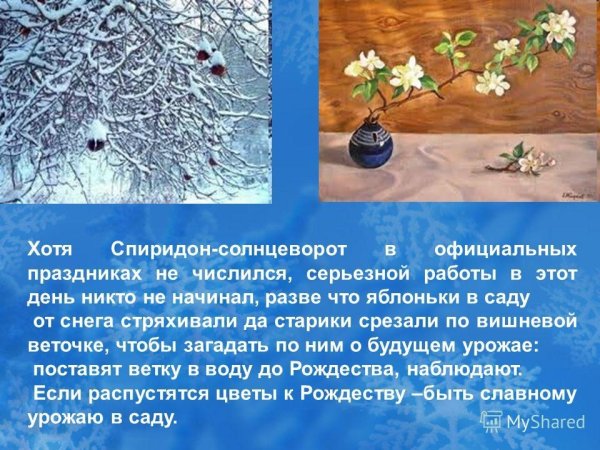 Спиридон Солнцеворот (Коляда Солнцеворот)