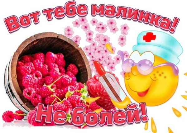 Не болей выздоравливай