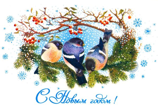 Новогодние поздравления