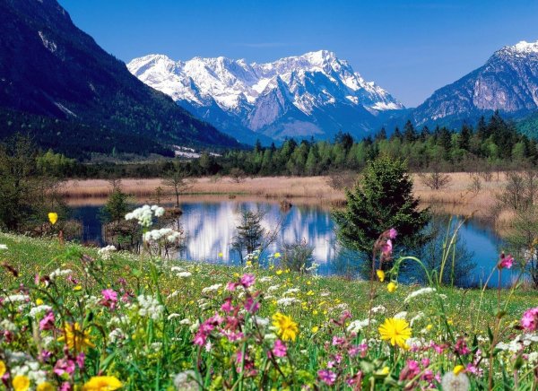 Альпийские Луга Абхазия