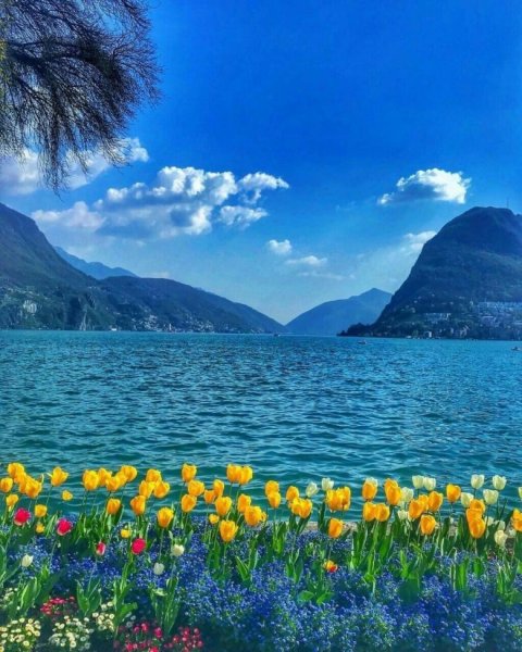 Красивый пейзаж