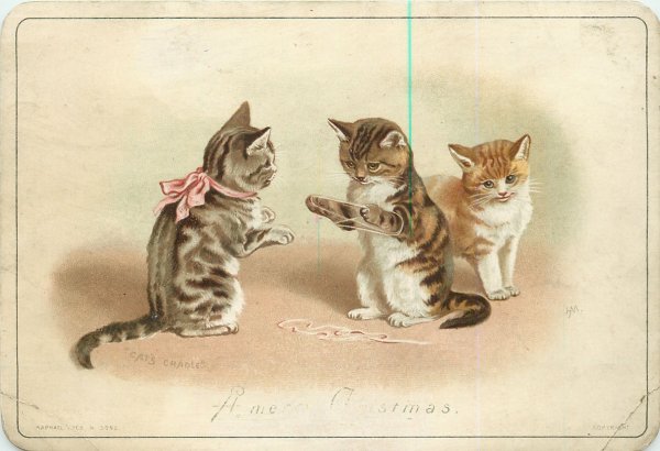 Котики Винтажные открытки