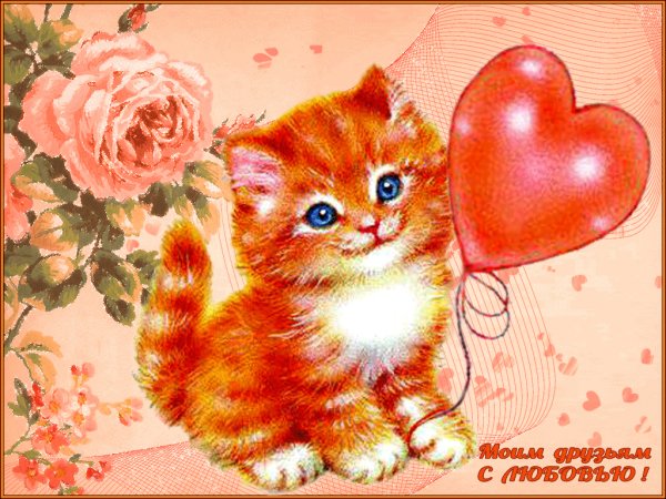 Открытки с котятами