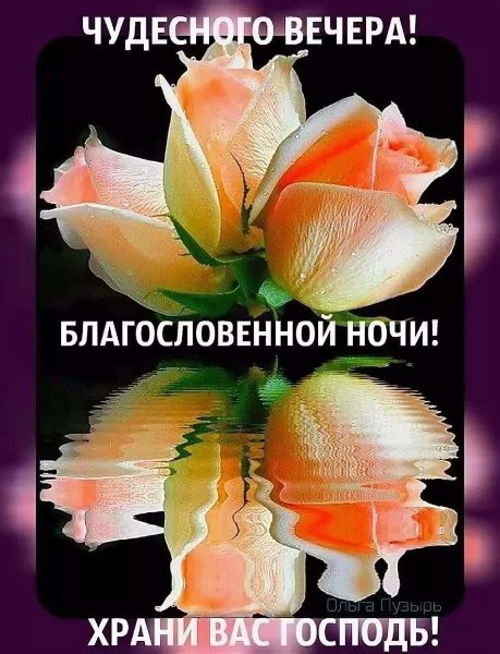 Спокойной благословенной ночи