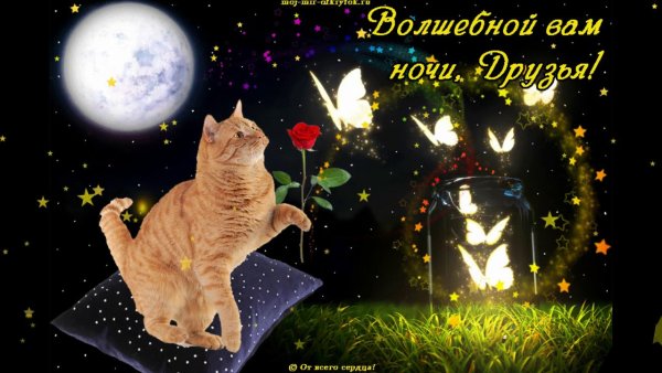 Доброй ночи волшебных снов