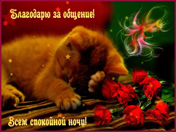 Спокойной ночи анимация