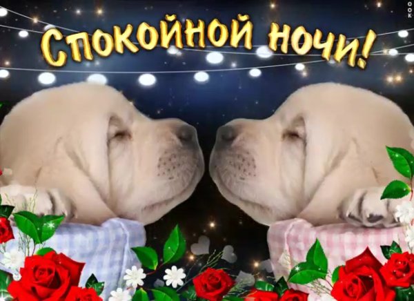 Спокойной ночи вторник