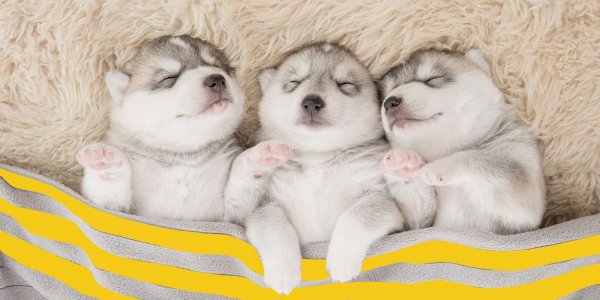 Стикеры спокойной ночи