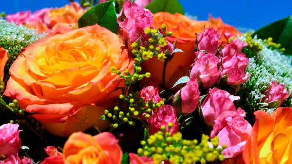 Шочмо кечет дене открытка