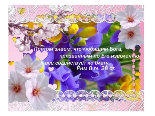 Открытки с Цитатами из Библии