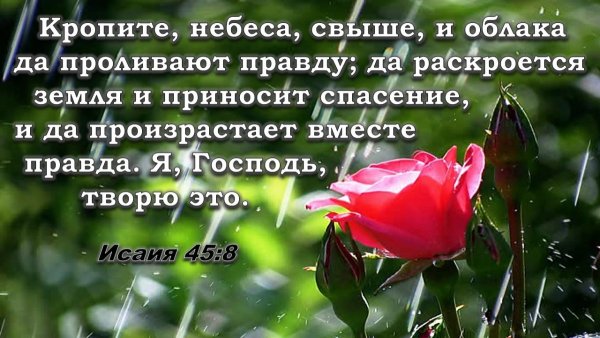 Стихи из Библии