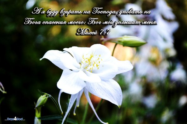 Царство Божье это мир праведность и радость во святом духе