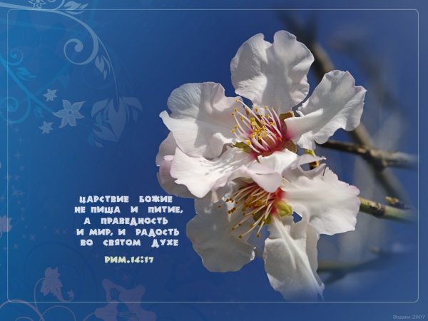 Христианские высказывания