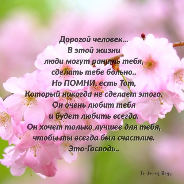 Стихи из Библии