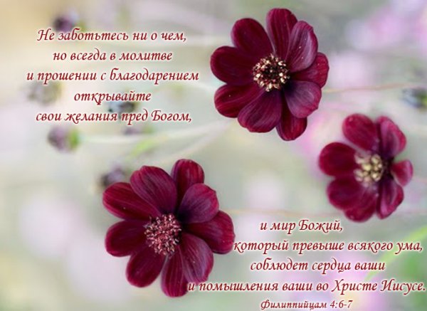 Христианские поздравления со свадьбой